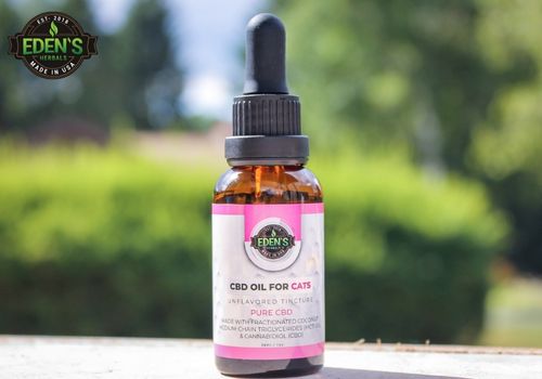 eden's herbals cbd oil outside on a sunny day